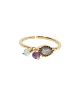 MES BIJOUX Berenyce ring met meerdere stenen gold Best