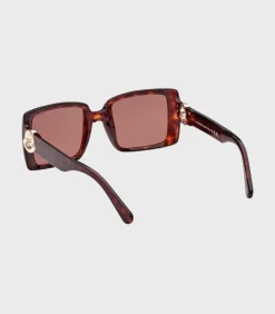 Moncler Bruin Dark Havana Dames Zonnebril brown Outlet