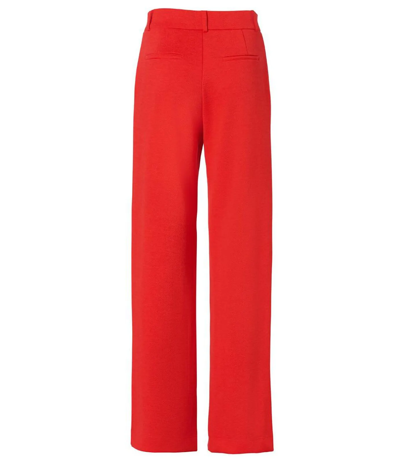 Mart Visser Celia Broek Koraal coral New
