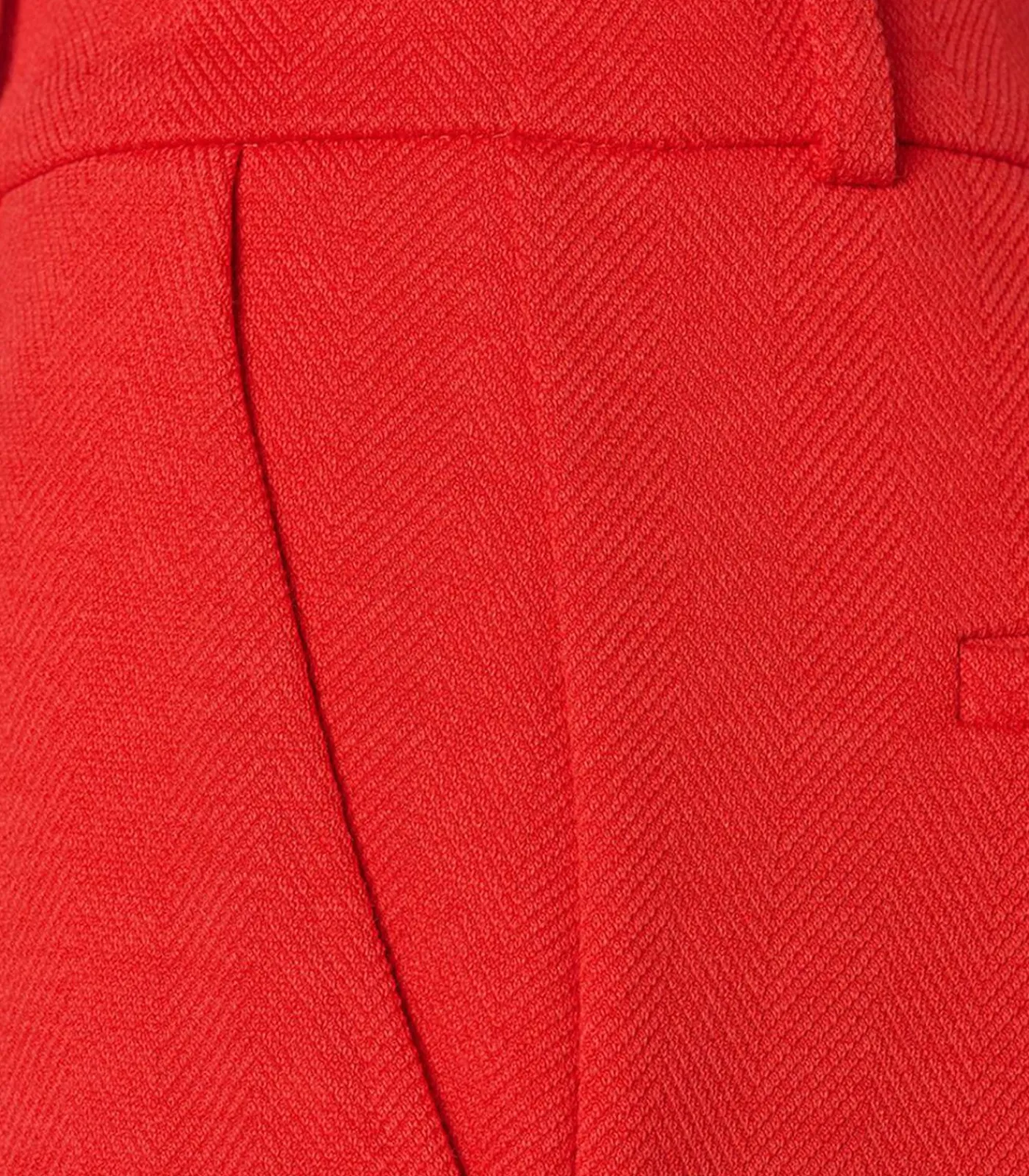 Mart Visser Celia Broek Koraal coral New