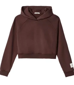 HINNOMINATE Felpa Cappuccio A Scatoletta Con Manica Raglan brown Hot
