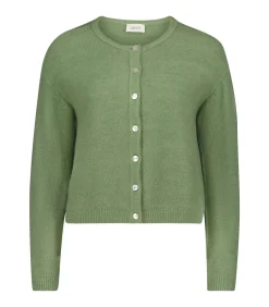 Cartoon Gebreid vest mintGreen Online