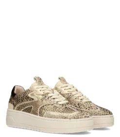 Haboob AURELIE Dames Sneaker beige Online