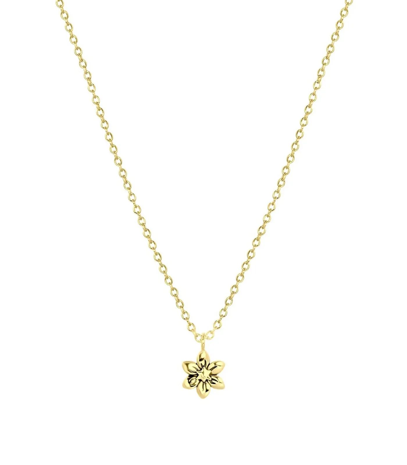 Lucardi Ketting Zilver 45 cm - Zilverkleurig gold