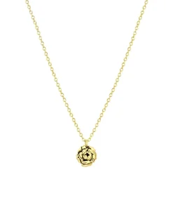 Lucardi Ketting Zilver 45 cm - Zilverkleurig gold Best