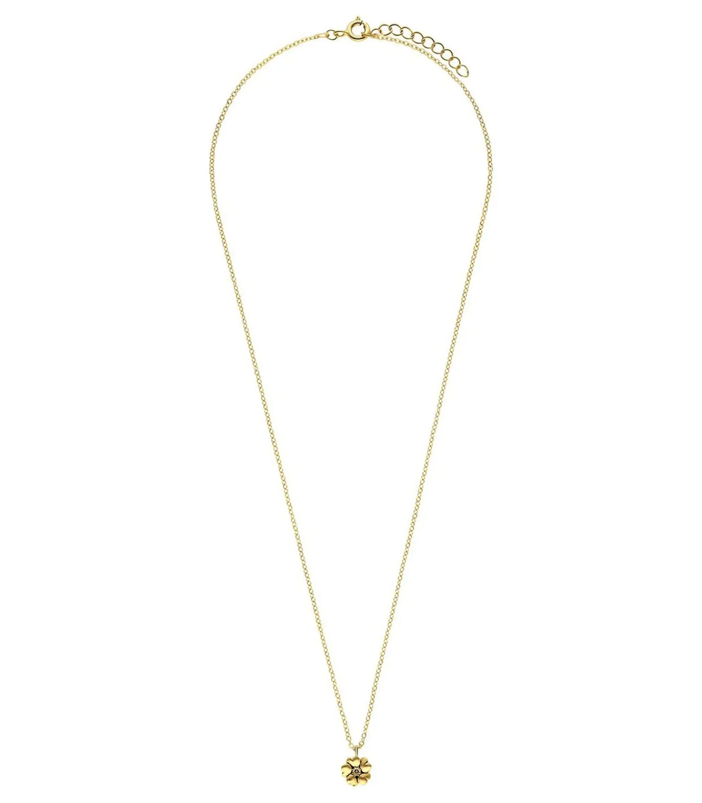 Lucardi Ketting Zilver 45 cm - Zilverkleurig gold Best