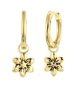 Lucardi Oorbellen Zilver - Zilverkleurig gold Outlet