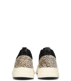 POSH by Poelman Dames CAROCEL Sneakers beige/black/blackMulticolor/multicolor Sale
