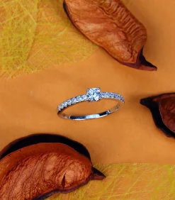 La Petite Story Ring silver Best