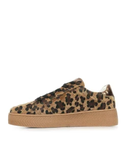 Vanessa WU Sneakers Elea multicolor Clearance